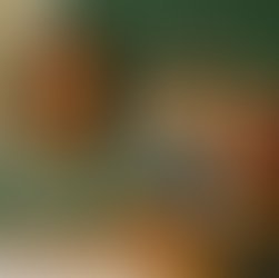 Checklist: Como Incluir os Surdos na Escola com Libras