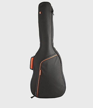 Guitar Bag.jpg