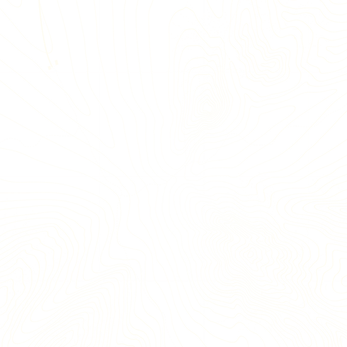 cartograph image.png