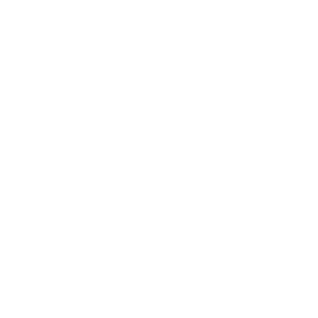 logo blanco.png