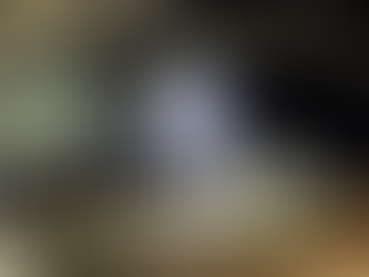 Estrutura de pé! Sumaré Arena Music entra na reta final