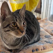 IMG_6156 2_edited.jpg