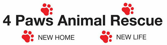 4 Paws Animal Rescue Logo. Name with 4 red paw prints