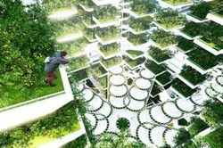 BIOMIMICRY