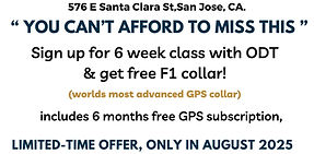 ODT flyer 2_edited.jpg