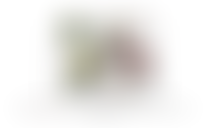 GlycavOx®Estratto di Avocado e Amaranto con studi clinici