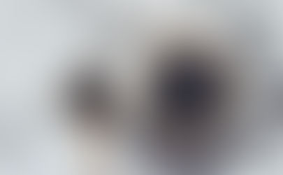 Estratto di riso nero ricco di antociani per migliorare l’omeostasi metabolica