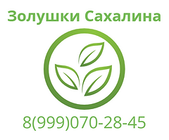 logoza.ru (1).png
