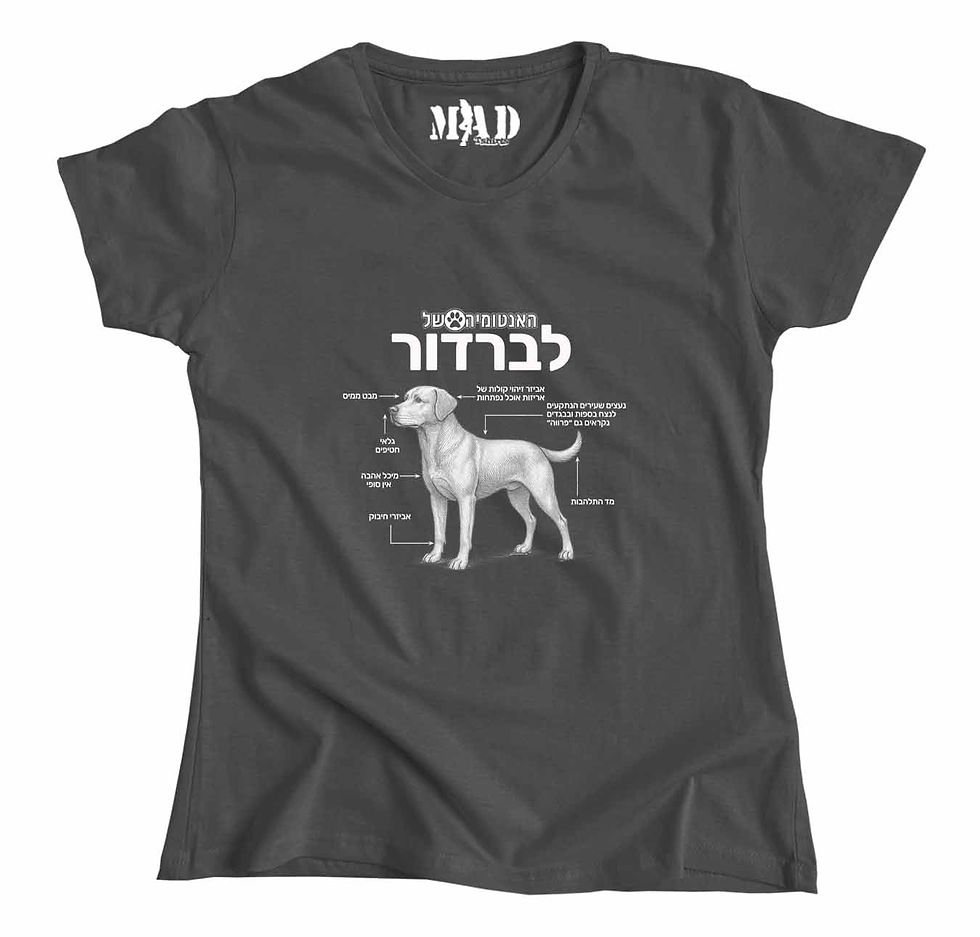 תמונה ממוזערת: האנטומיה של לברדור