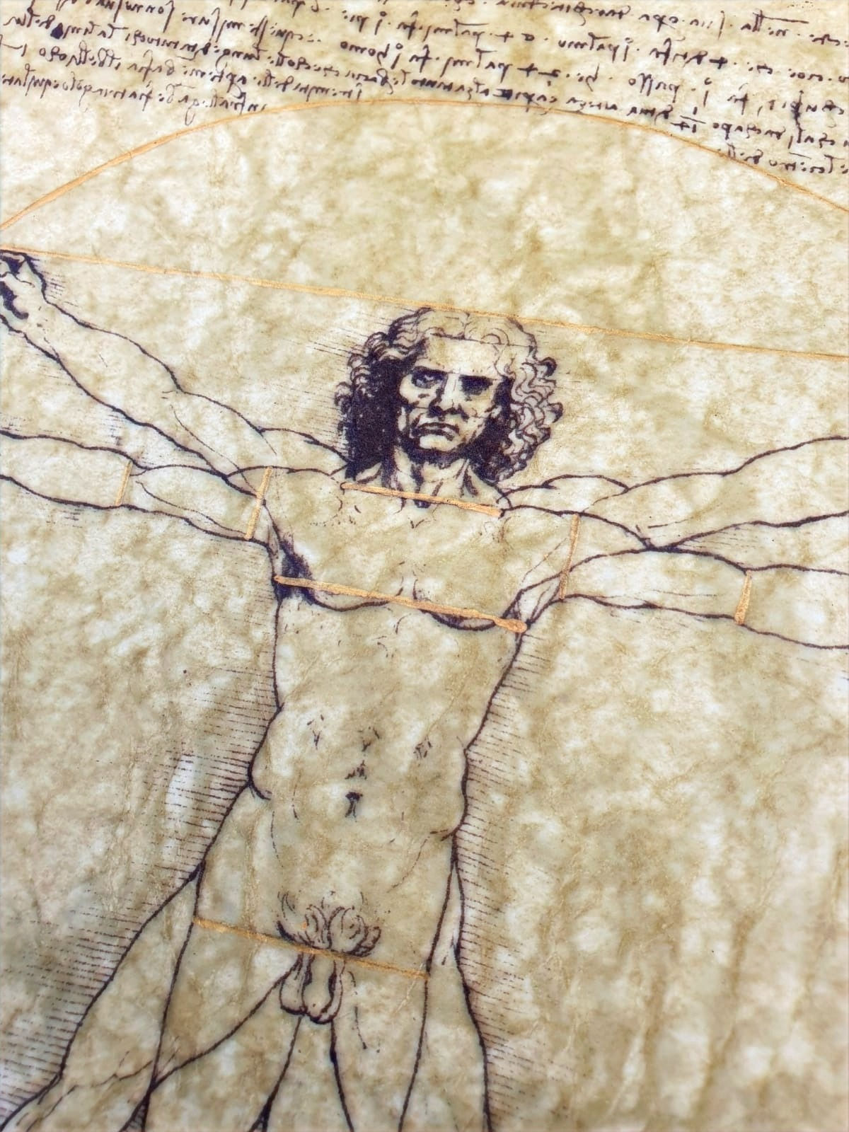 Close-up detail of Vitruvian Man by Leonardo da Vinci, 1487, parchment style wall art print showing the figure’s face and lin