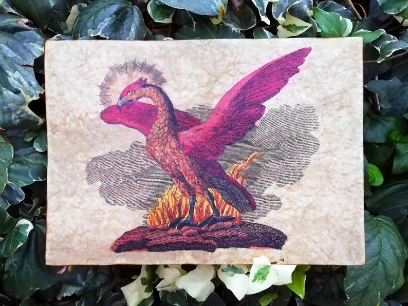 Thumbnail: Phoenix 1806 Bertuch replica. Handmade mythological art with gold paint on aged paper with beeswax finish.