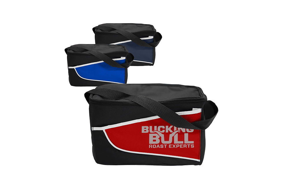 Insulated 6L cooler bags personalised with your company logo for outdoor promotions, events and corporate gifts