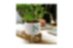 Promotional ceramic planters with bamboo base and custom branding, ideal for eco-friendly corporate gifts and home decor.