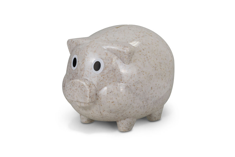 Thumbnail: Eco-friendly piggy banks, perfect for promoting sustainability and financial literacy at events and workshops.