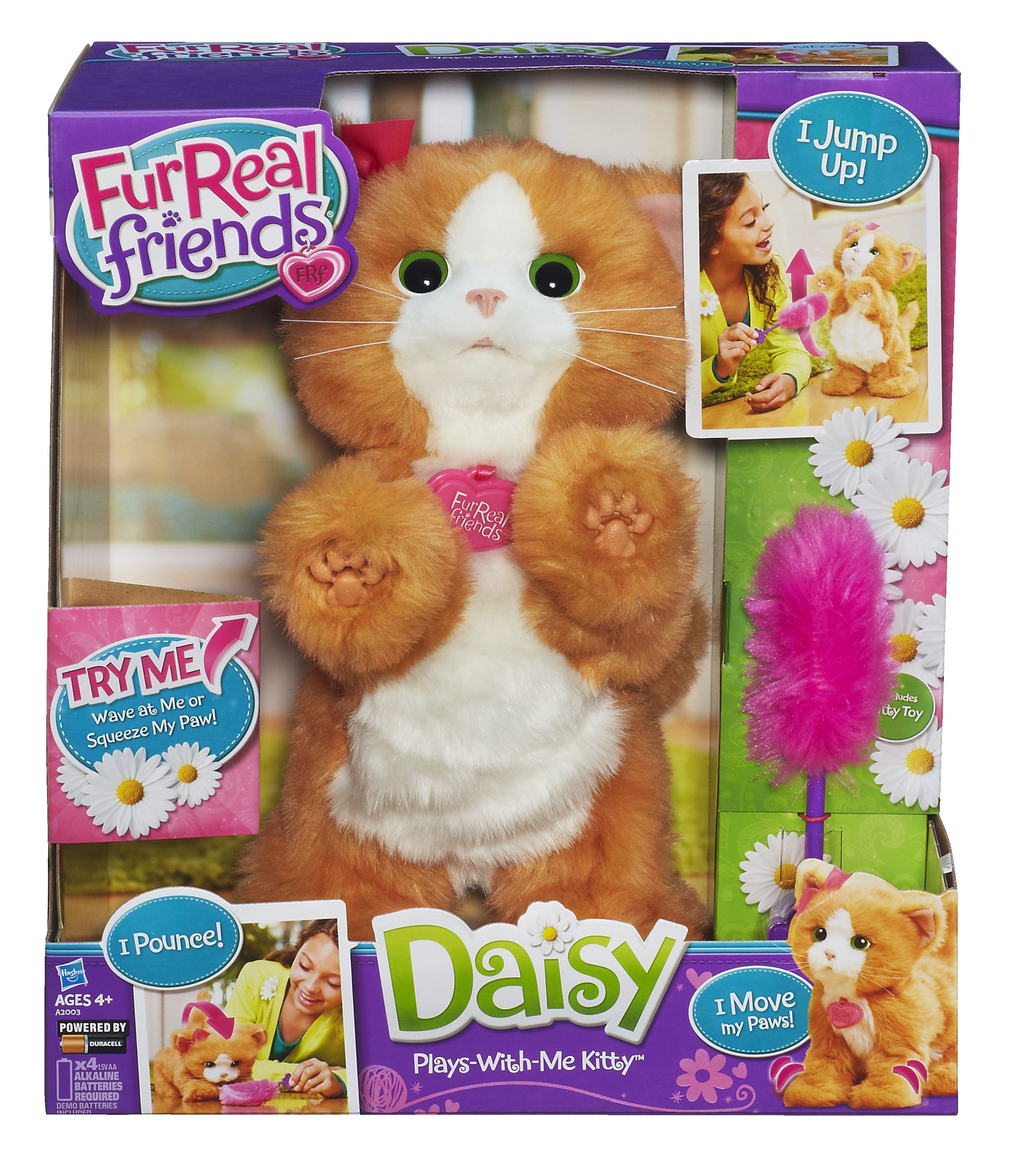 FRF Feature Kitty