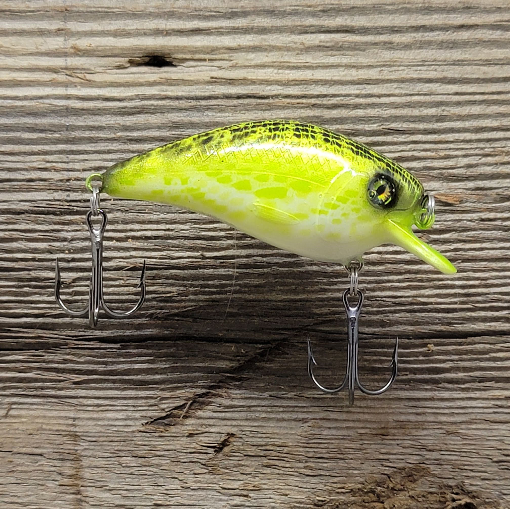 Shallow Diving Square Bill