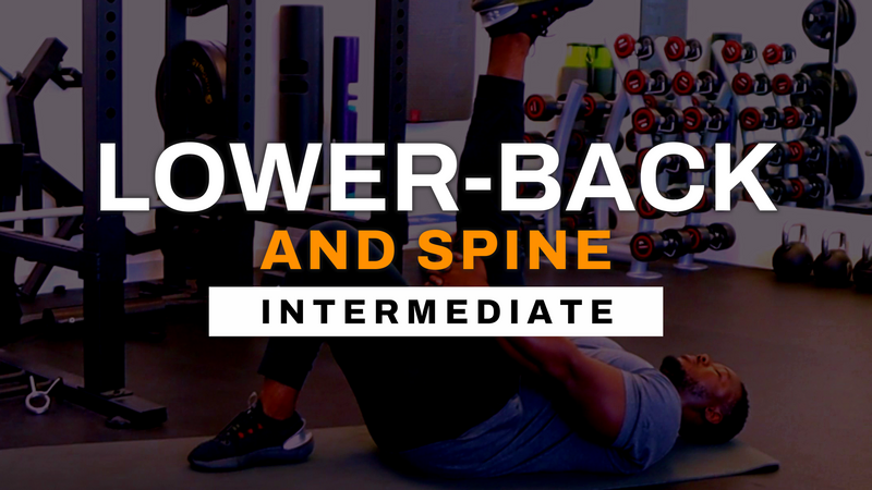 Lower-Back & Spine Training