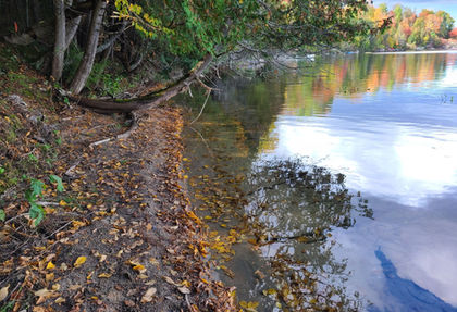 Shoreline in Ontario
