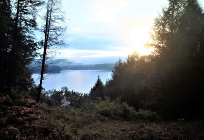 July Ontario Lake Property