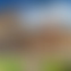 ¡Museos italianos que debes conocer!