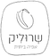 אפייה, סדנאות, אירועים, קייטרינג, שולחנות בופה, חלה, שמרים