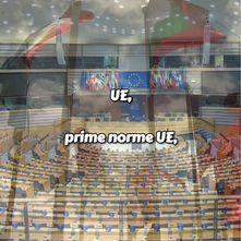 UE,  Prime norme UE per proteggere cani e gatti da maltrattamenti, 28 aprile 2026