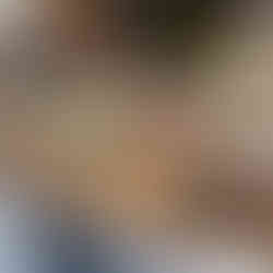 Futuo vegetarian buffet