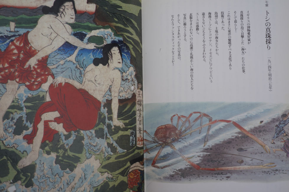 ⑤