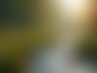 Healing Through Grief: Resources and Support