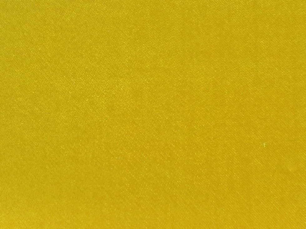SR19221 Lemon