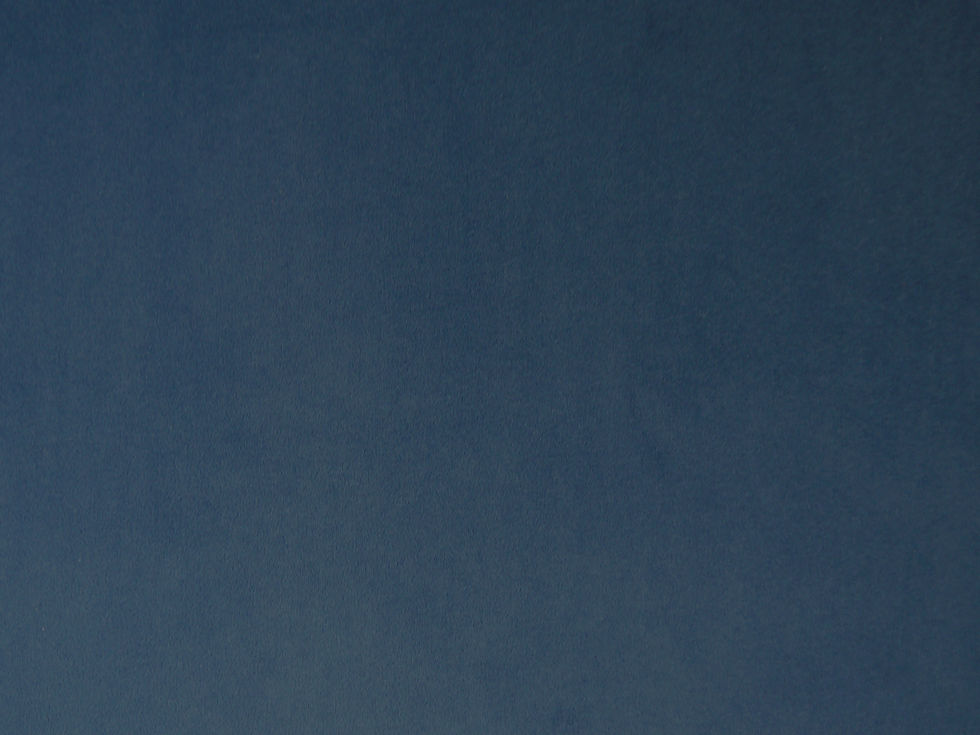PAS2722 Indigo