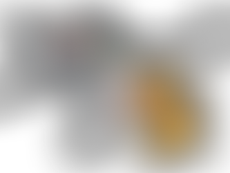 Parle eyes 10% addl mkt share with Tom & Jerry cream biscuits