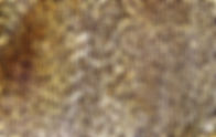 Leopard Skin