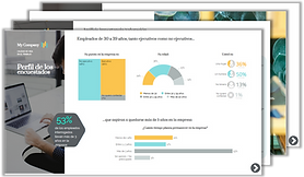 informe experiencia del empleado.png