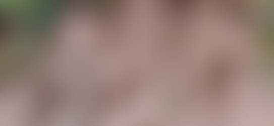 O vazio da casa, um mês hoje