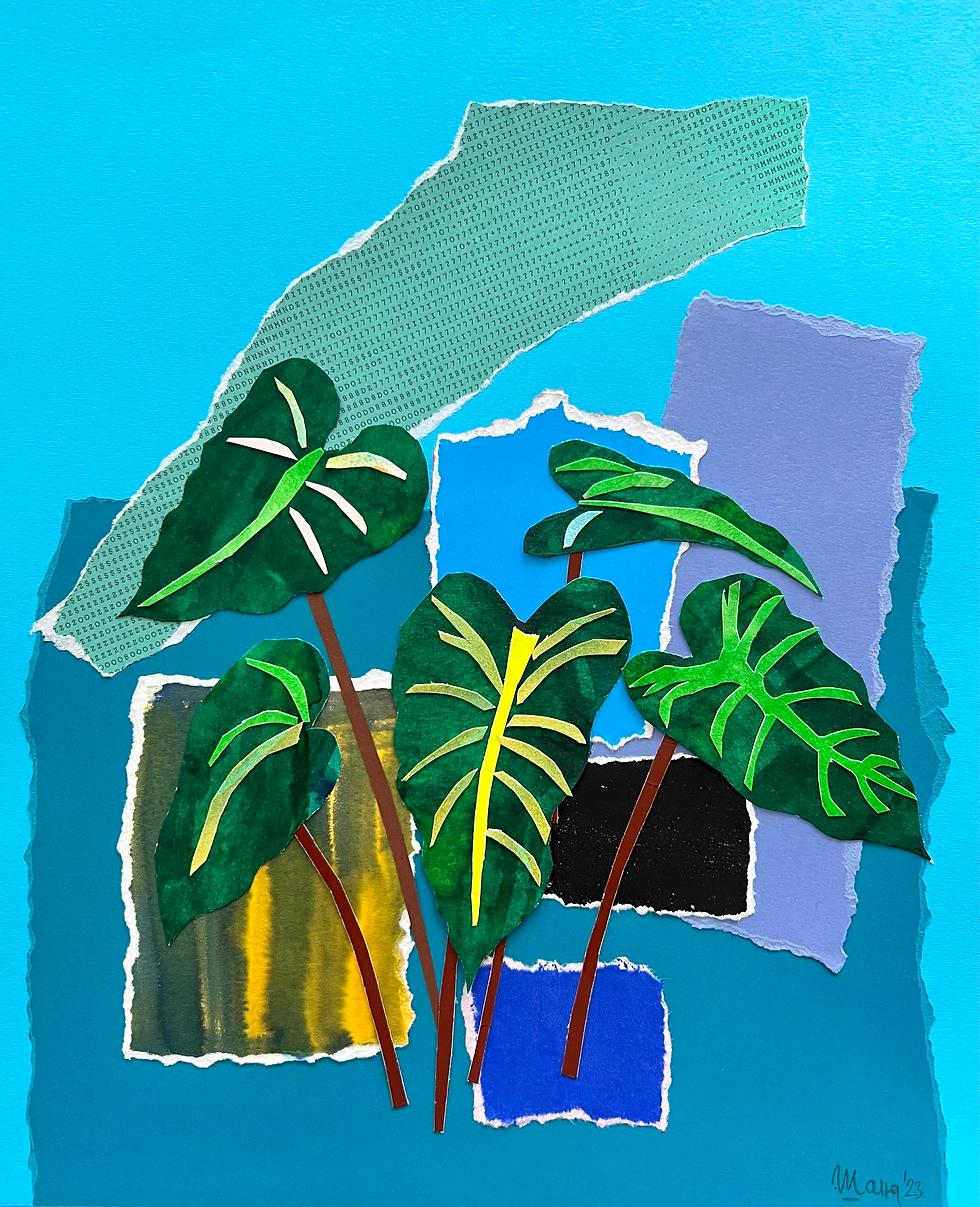 Alocasia