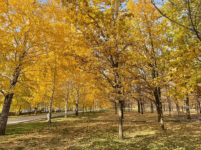 F0FBDDAC-F012-4FE9-97EF-25FBDC9BCA35_1_105_c.jpeg