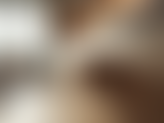 Transform Your Kitchen with Perfect Modular Fittings