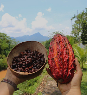 Cacao_edited.jpg