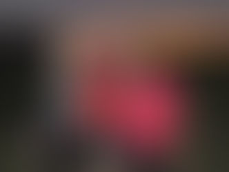 Bek’s Crew Tips: Fuelling Tips & Tricks