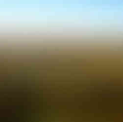 Eine Landschaftsaufnahme des Okavango-Delta in Botswana.