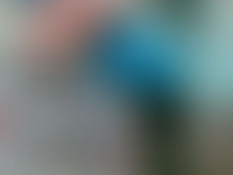 Food Coloring Flowers - Science Experiment