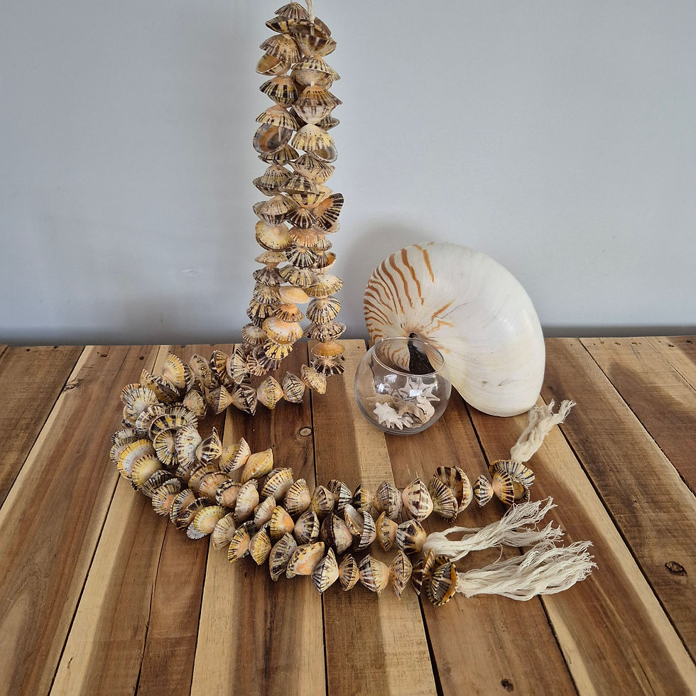 Thumbnail: Limpet shell garland
