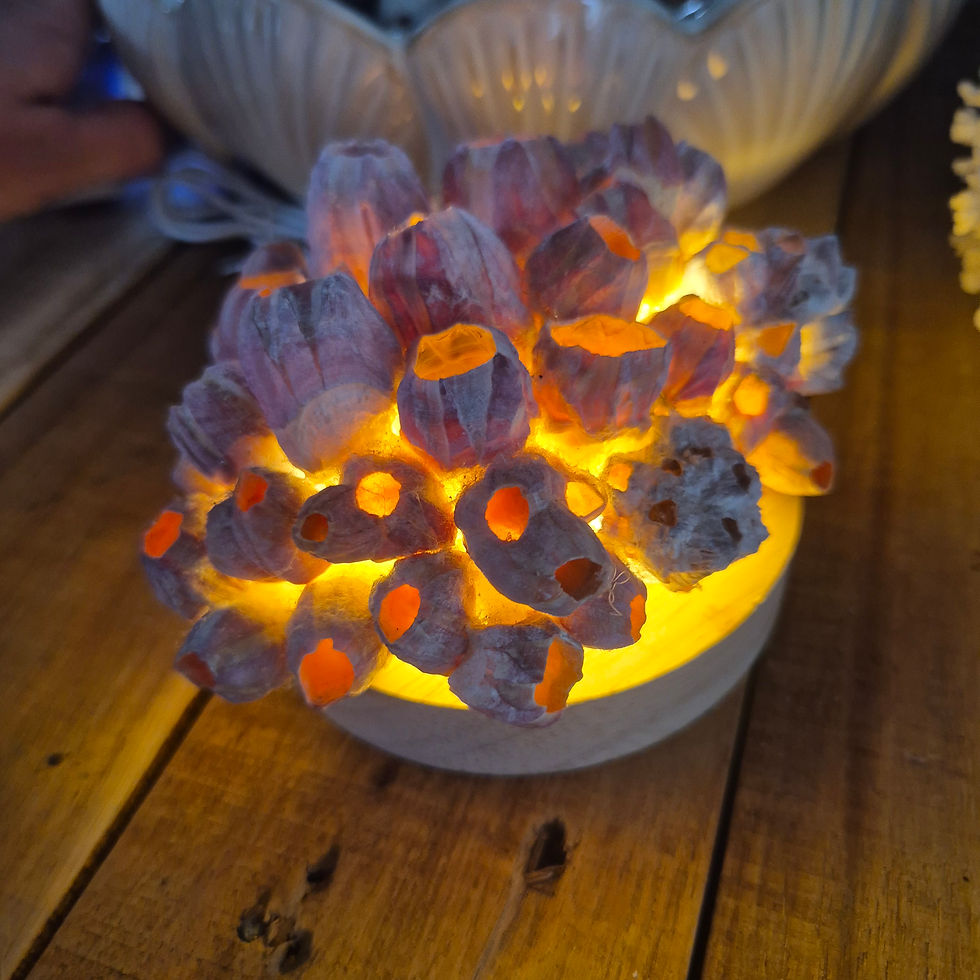 Thumbnail: Medium Barncle light #1