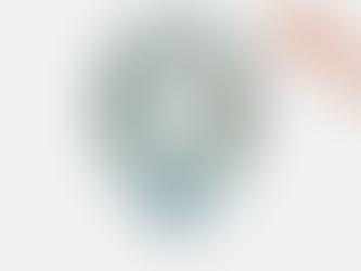 Wat moeten we toch met KLM?