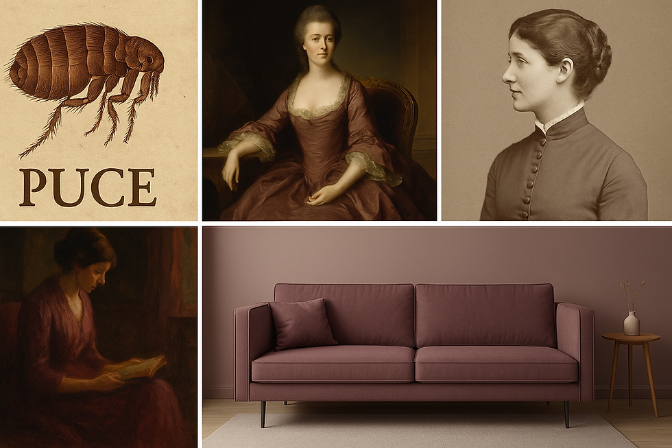 Collage of puce-themed images: a flea, historical portraits, woman reading, and a puce sofa in a minimalist room.