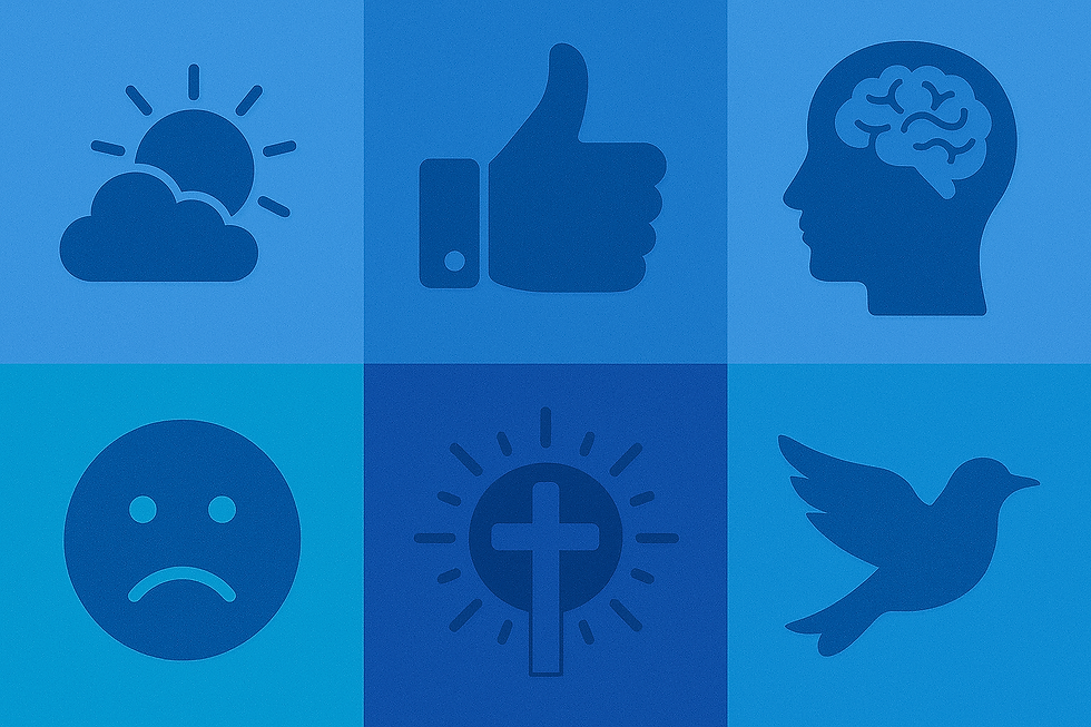Grid of blue icons: sun and cloud, thumbs up, brain in profile, sad face, cross with rays, and bird. Simple, minimalistic design.