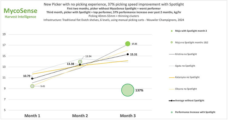 37 percent increase from worst picker Kg per hr - Wauwiler Champignons 2024.jpg