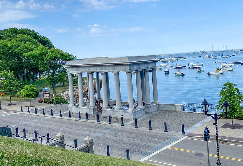 plymouth-rock--e1720470065297.jpg