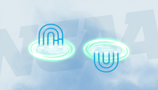 Portal Parity